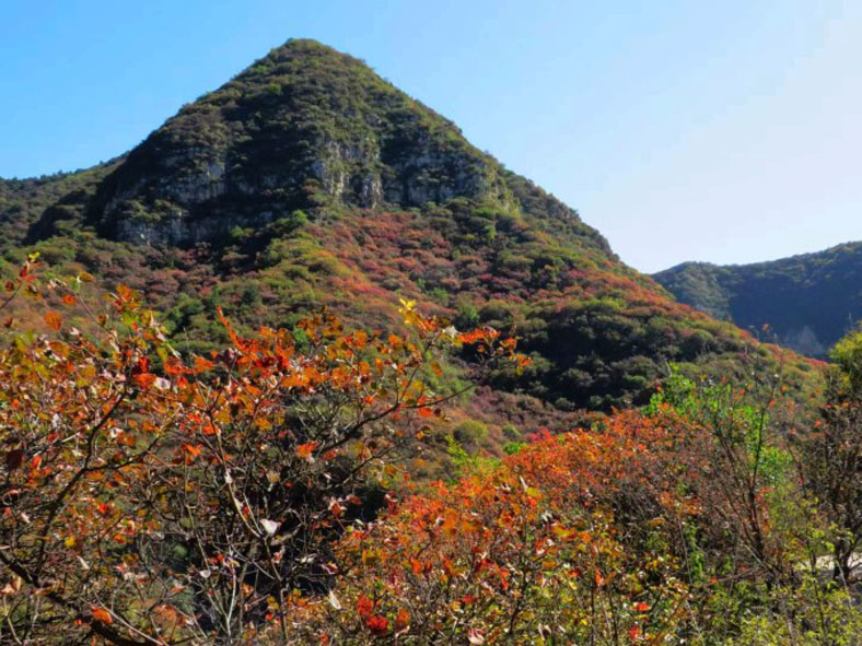 红岩岭上叶正红